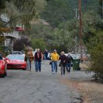Cambria_0037 (November 03, 2017)